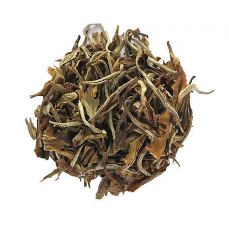 Thé blanc du Yunnan - Fleuri et parfumé