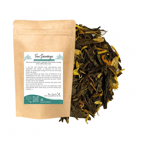 thé vert BIO orange gingembre colors of tea