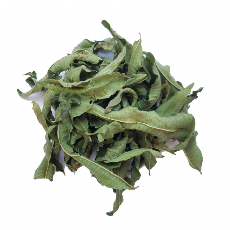 Tisane végétale - Feuilles de verveine du Périgord - Colors of Tea