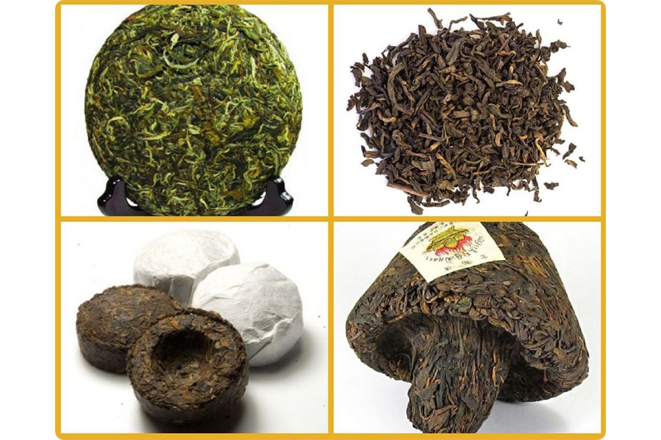 formes de pu erh colors of tea formes de pu erh colors of tea