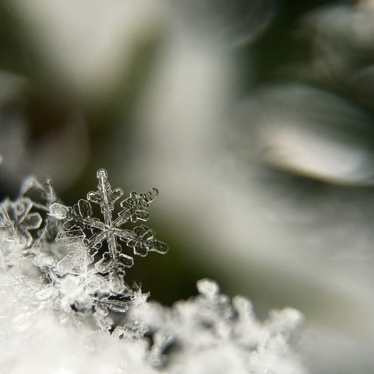 hiver flocon en hiver