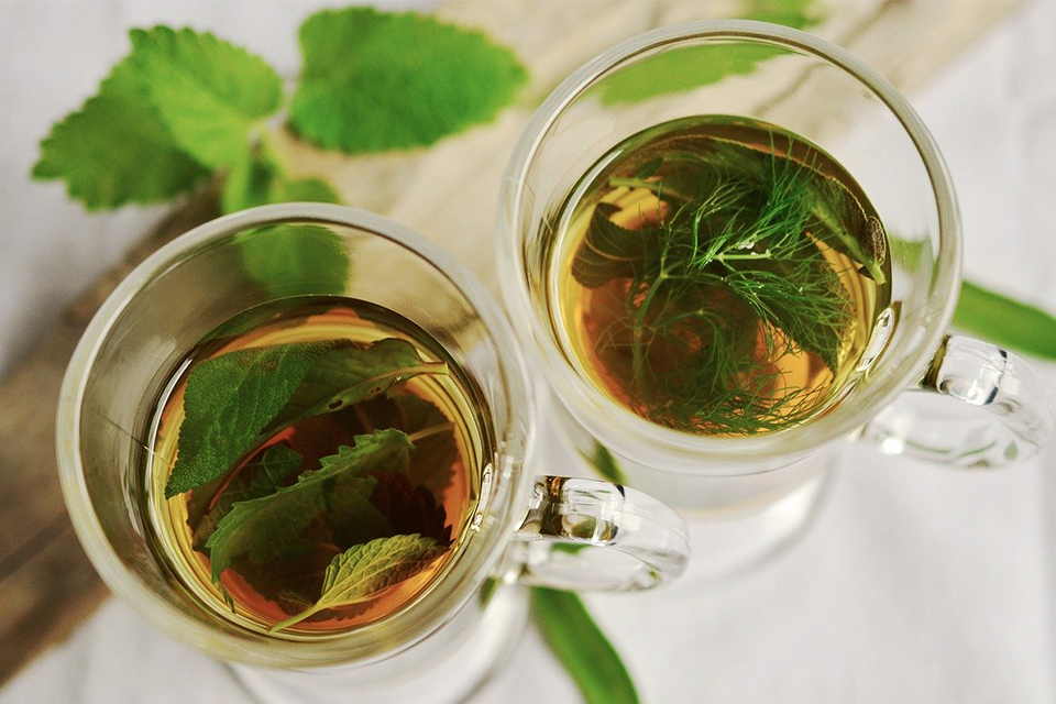 5 bonnes raisons de boire du thé vert