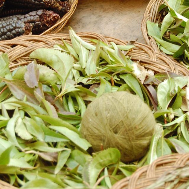 pelote teintée par feuilles pelote teintée par feuilles
