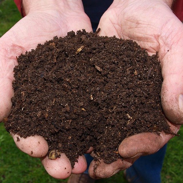 terreau terreau dans mains d'homme