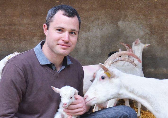 Sébastien Amaltup chèvre et agneau bandeau