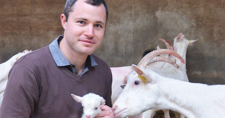 Sébastien Amaltup chèvre et agneau bandeau