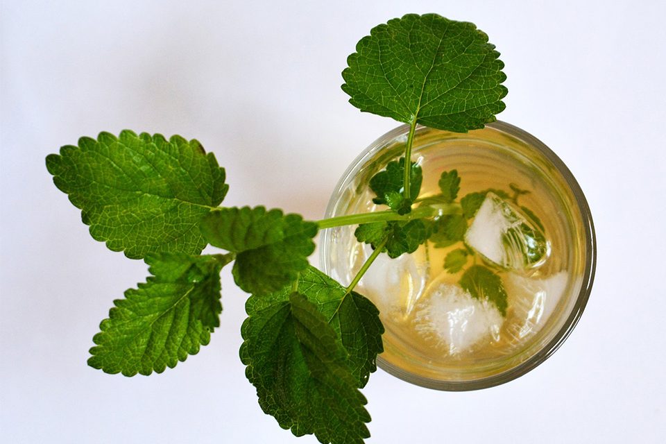 thé feuilles de menthe feuilles de menthe dans verre de thé glacé