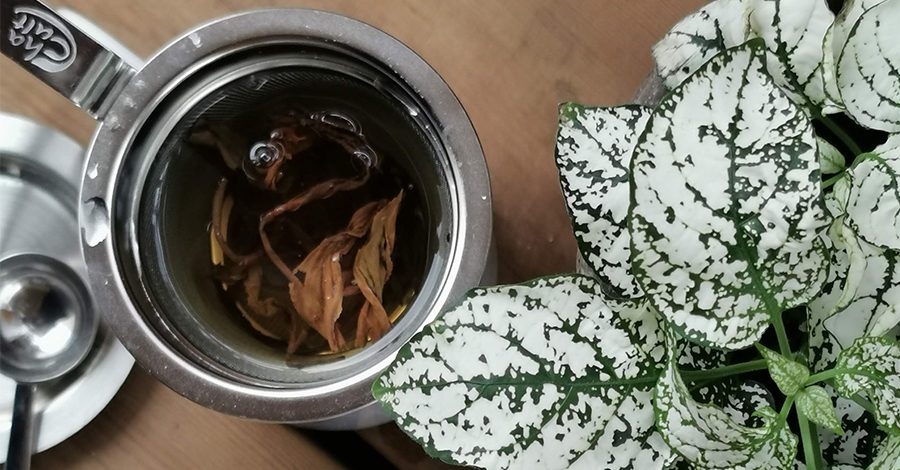 thé en vrac dans filtre et tasse colors of tea