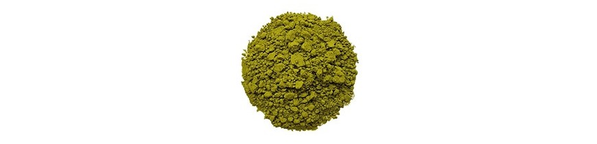 Matcha et autres latte